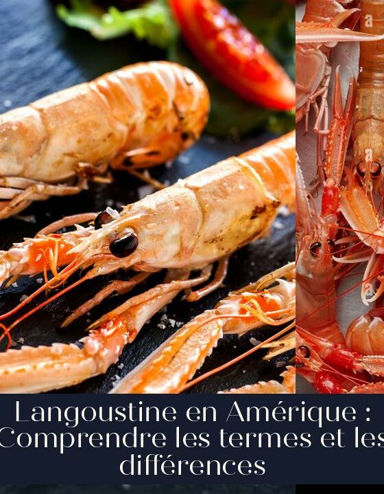 Langoustine en Amérique : Comprendre les termes et les différences