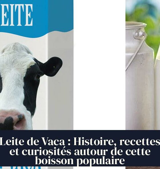 Leite de Vaca : Histoire, recettes et curiosités autour de cette boisson populaire