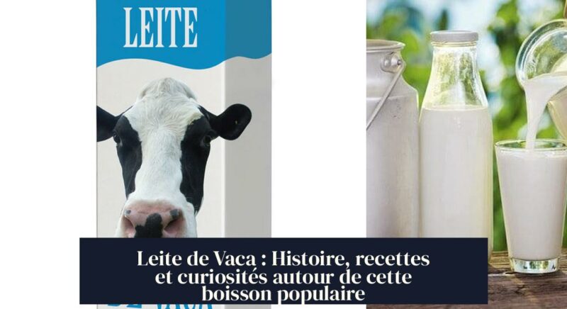 Leite de Vaca : Histoire, recettes et curiosités autour de cette boisson populaire