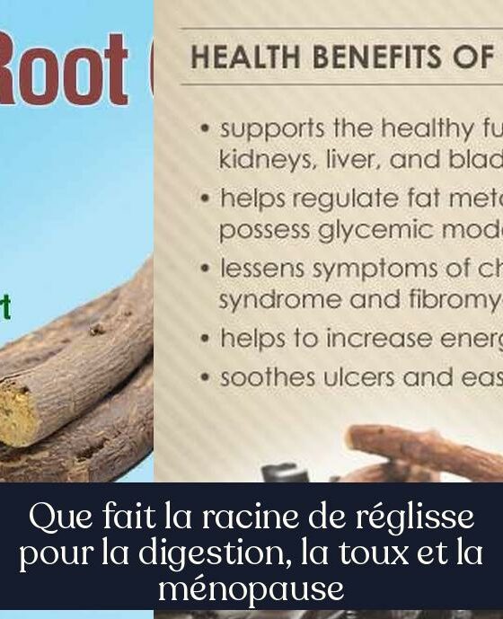 Que fait la racine de réglisse pour la digestion, la toux et la ménopause