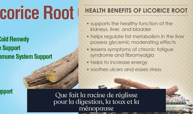 Que fait la racine de réglisse pour la digestion, la toux et la ménopause