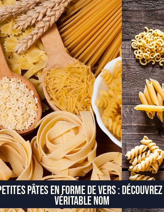 Ces petites pâtes en forme de vers : découvrez leur véritable nom