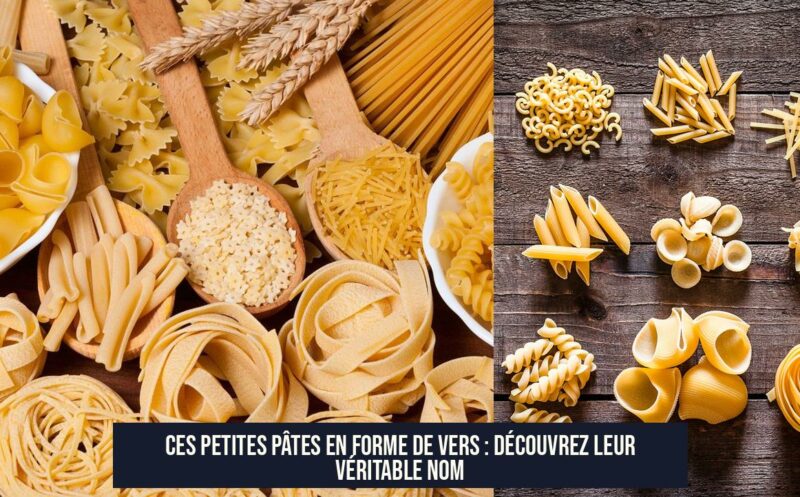Ces petites pâtes en forme de vers : découvrez leur véritable nom