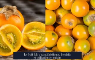 Le fruit lulo : caractéristiques, bienfaits et utilisation en cuisine