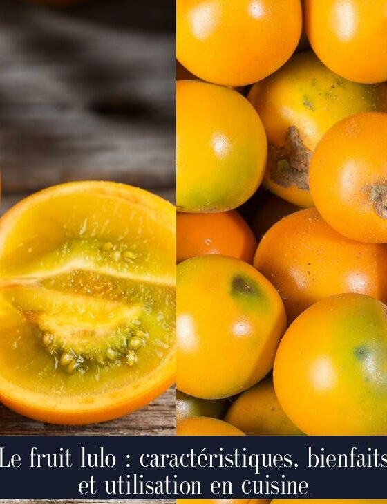 Le fruit lulo : caractéristiques, bienfaits et utilisation en cuisine