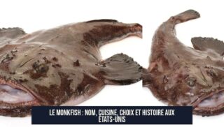 Le monkfish : nom, cuisine, choix et histoire aux États-Unis