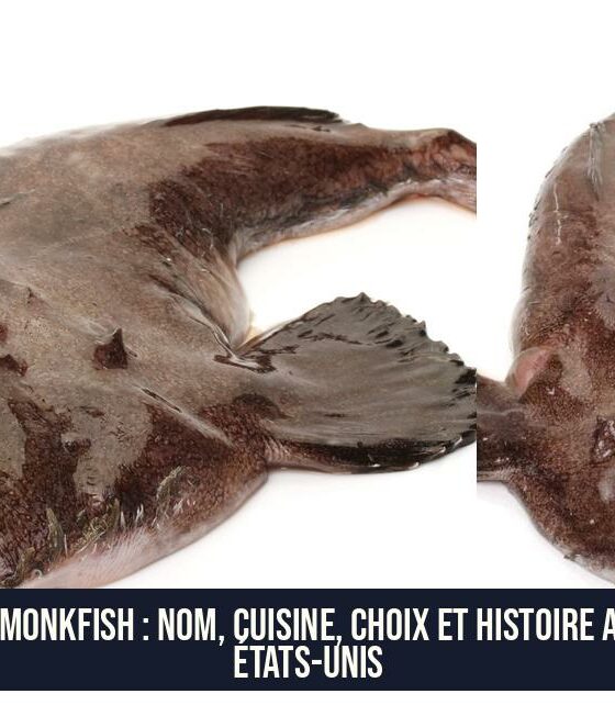 Le monkfish : nom, cuisine, choix et histoire aux États-Unis