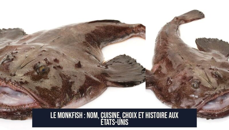 Le monkfish : nom, cuisine, choix et histoire aux États-Unis