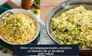 Orzo : accompagnements, recettes et histoire de ce féculent polyvalent