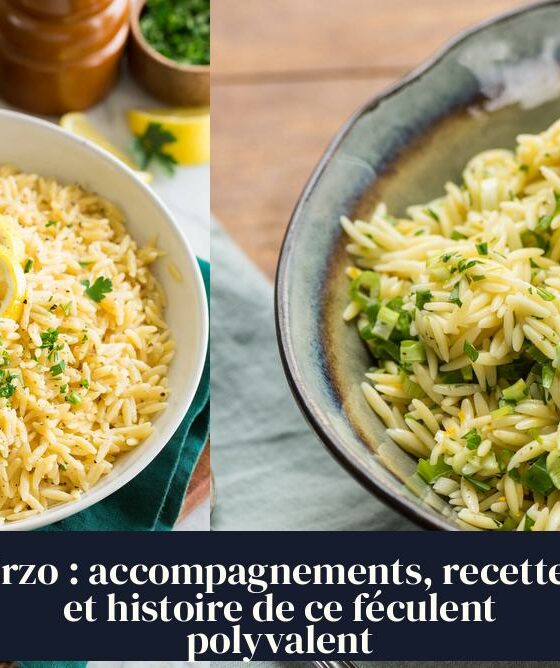 Orzo : accompagnements, recettes et histoire de ce féculent polyvalent