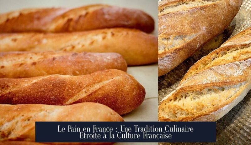 Le Pain en France : Une Tradition Culinaire Étroite à la Culture Française