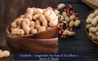 Cacahuète : Comprendre Son Nom et Sa Culture à Travers le Monde