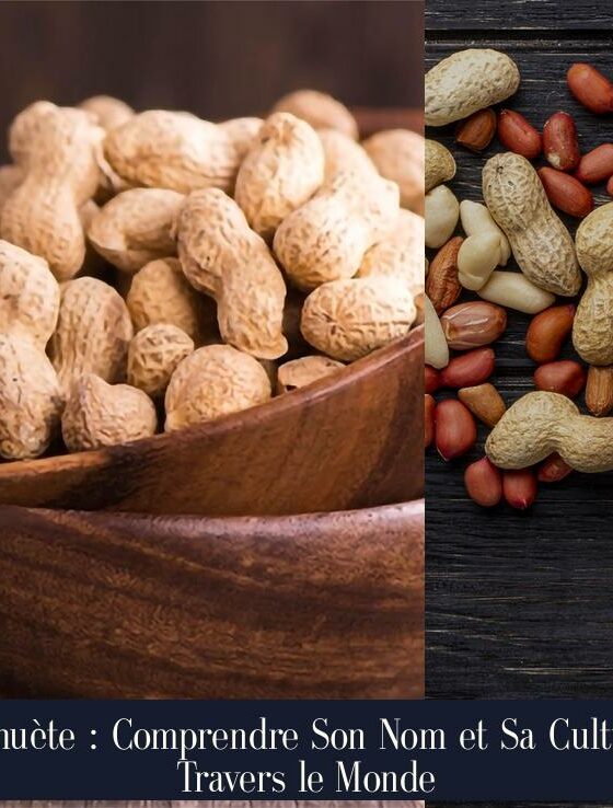 Cacahuète : Comprendre Son Nom et Sa Culture à Travers le Monde