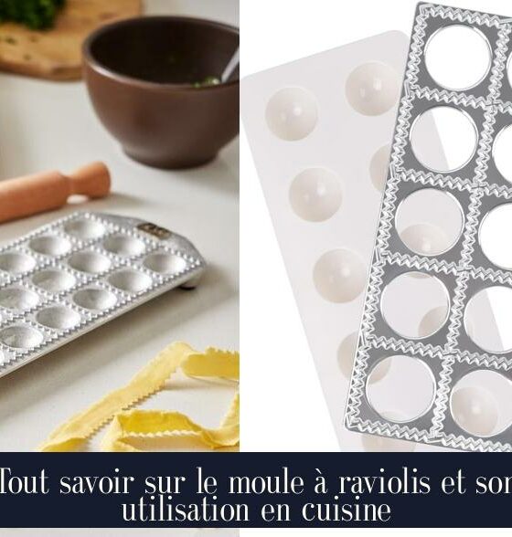 Tout savoir sur le moule à raviolis et son utilisation en cuisine