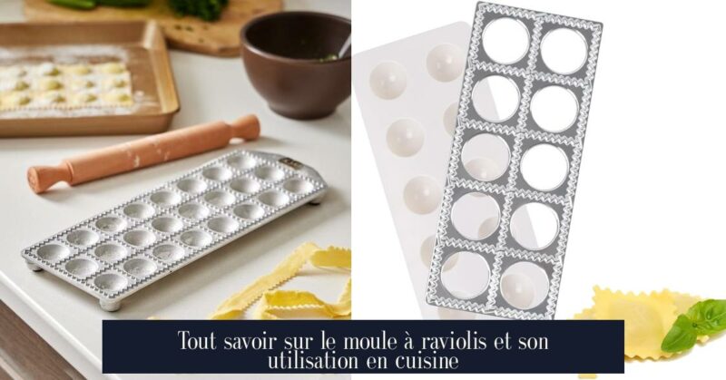 Tout savoir sur le moule à raviolis et son utilisation en cuisine