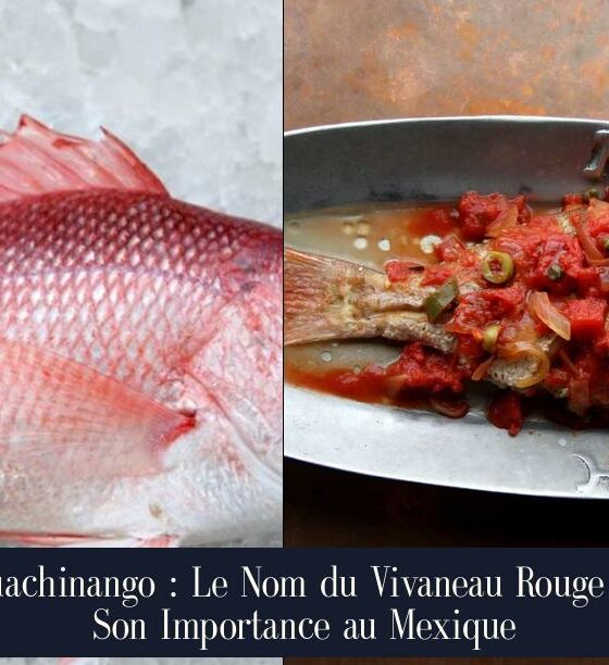 Huachinango : Le Nom du Vivaneau Rouge et Son Importance au Mexique