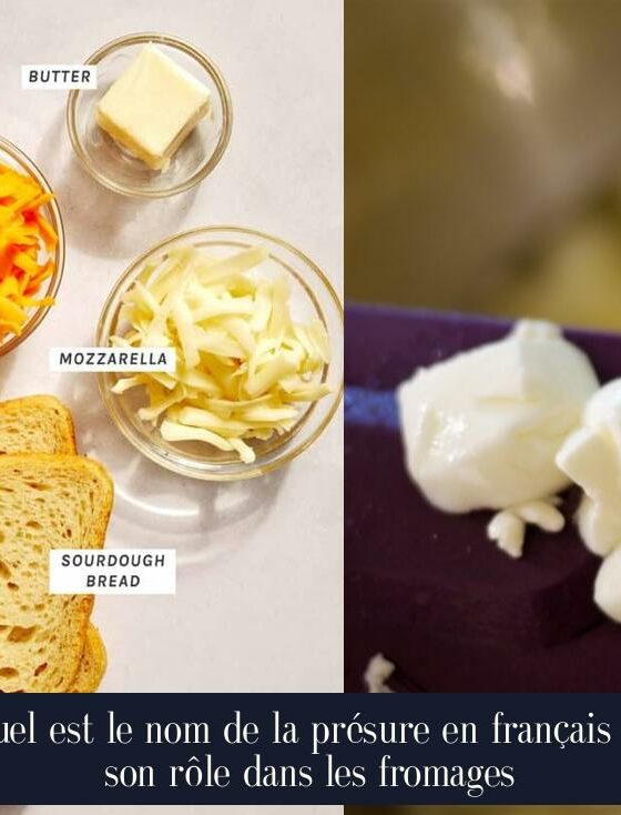 Quel est le nom de la présure en français et son rôle dans les fromages