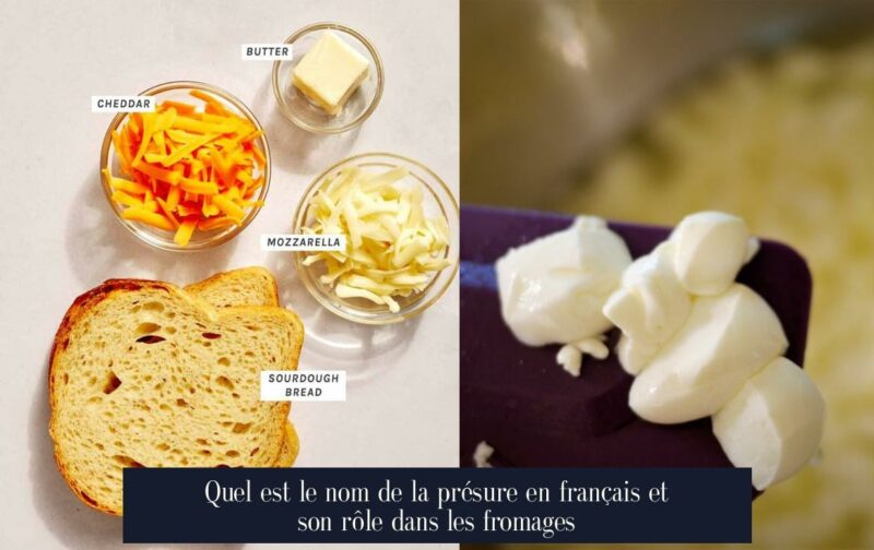 Quel est le nom de la présure en français et son rôle dans les fromages