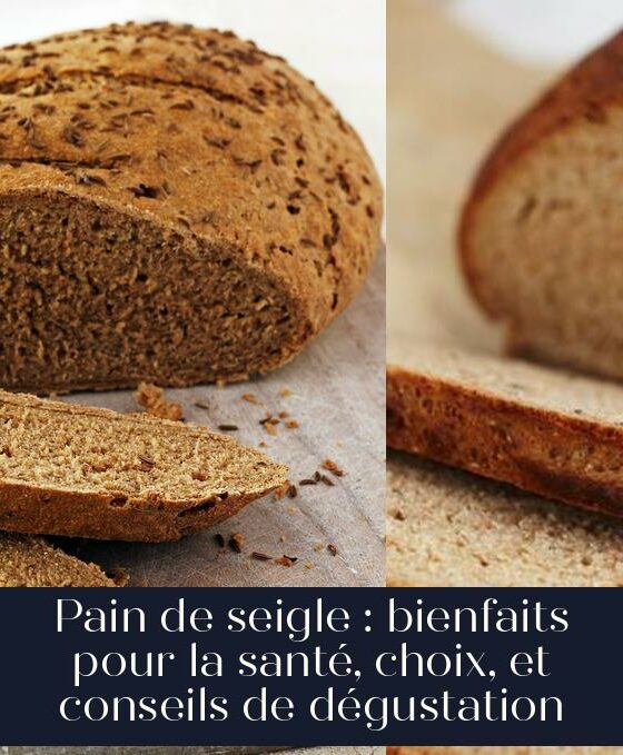 Pain de seigle : bienfaits pour la santé, choix, et conseils de dégustation
