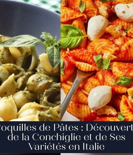 Coquilles de Pâtes : Découverte de la Conchiglie et de Ses Variétés en Italie