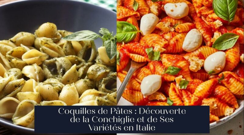 Coquilles de Pâtes : Découverte de la Conchiglie et de Ses Variétés en Italie