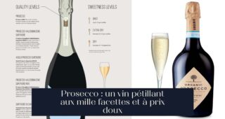 Prosecco : un vin pétillant aux mille facettes et à prix doux