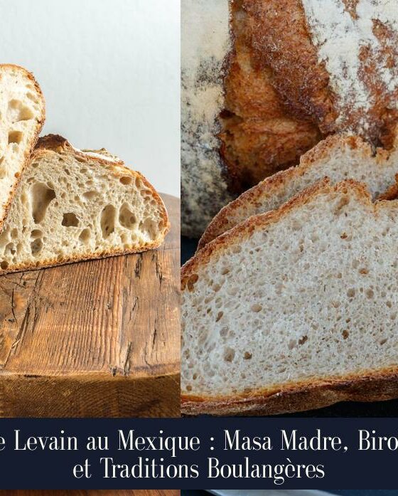 Le Levain au Mexique : Masa Madre, Birote et Traditions Boulangères