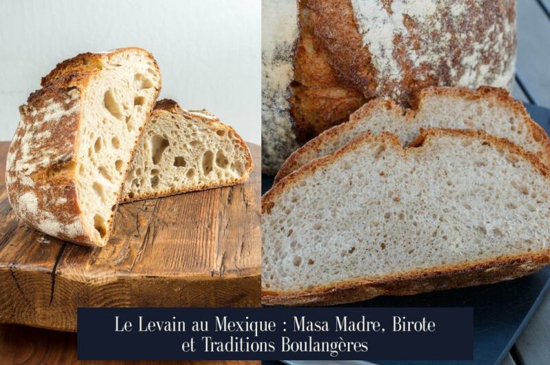 Le Levain au Mexique : Masa Madre, Birote et Traditions Boulangères