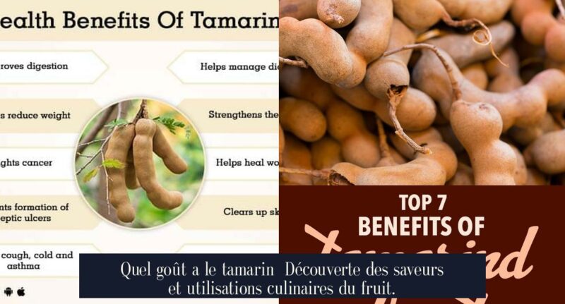 Quel goût a le tamarin Découverte des saveurs et utilisations culinaires du fruit.