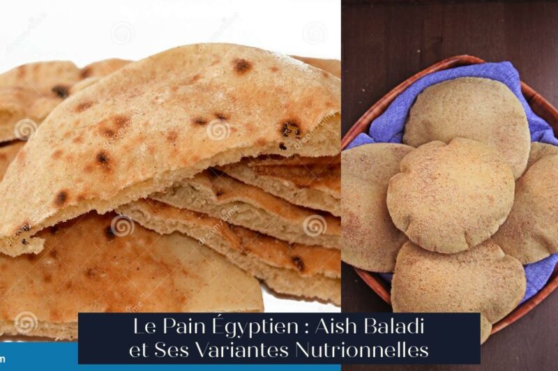 Le Pain Égyptien : Aish Baladi et Ses Variantes Nutrionnelles