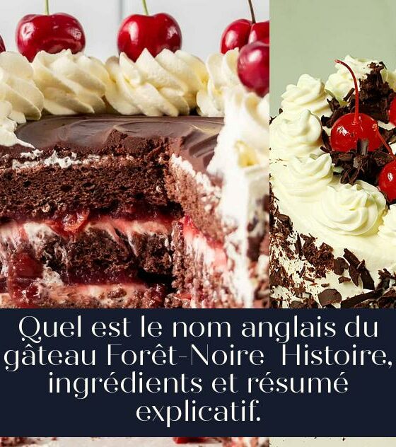 Quel est le nom anglais du gâteau Forêt-Noire Histoire, ingrédients et résumé explicatif.