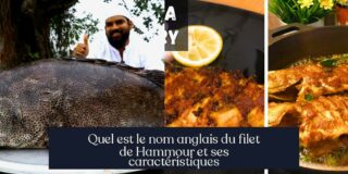 Quel est le nom anglais du filet de Hammour et ses caractéristiques
