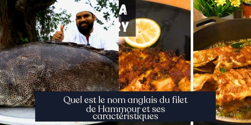 Quel est le nom anglais du filet de Hammour et ses caractéristiques