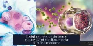 L'origine grecque du terme chlamydia et son lien avec la bactérie moderne