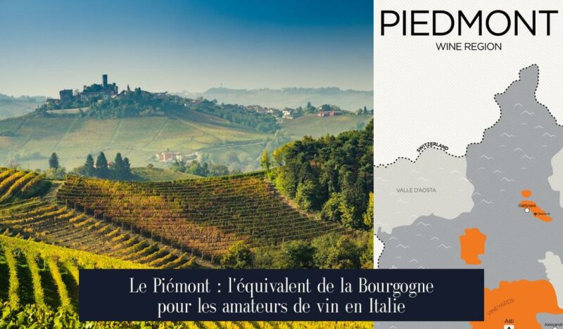 Le Piémont : l'équivalent de la Bourgogne pour les amateurs de vin en Italie