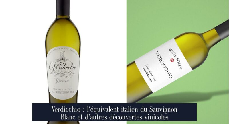 Verdicchio : l'équivalent italien du Sauvignon Blanc et d'autres découvertes vinicoles