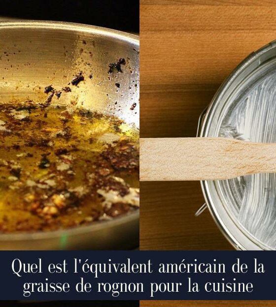 Quel est l'équivalent américain de la graisse de rognon pour la cuisine