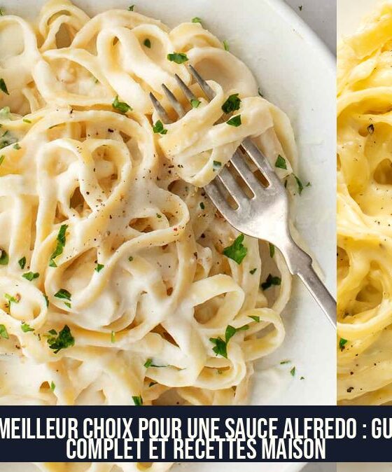 Le meilleur choix pour une sauce Alfredo : Guide complet et recettes maison