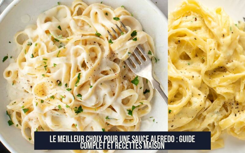 Le meilleur choix pour une sauce Alfredo : Guide complet et recettes maison