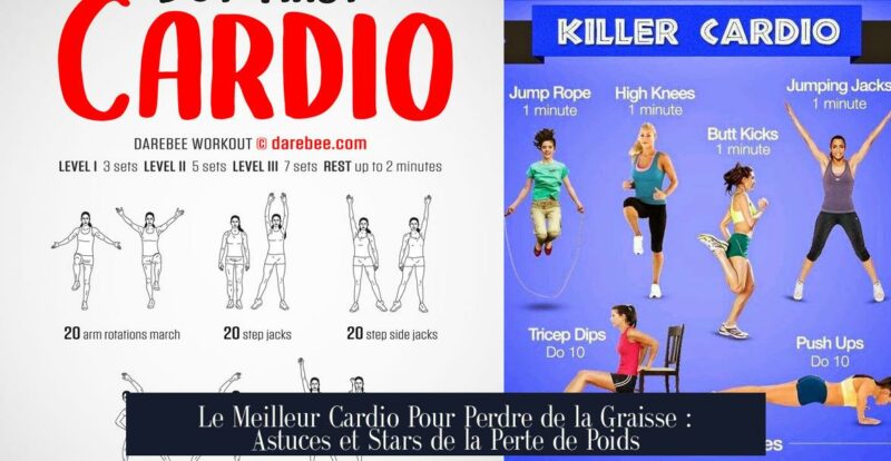 Le Meilleur Cardio Pour Perdre de la Graisse : Astuces et Stars de la Perte de Poids