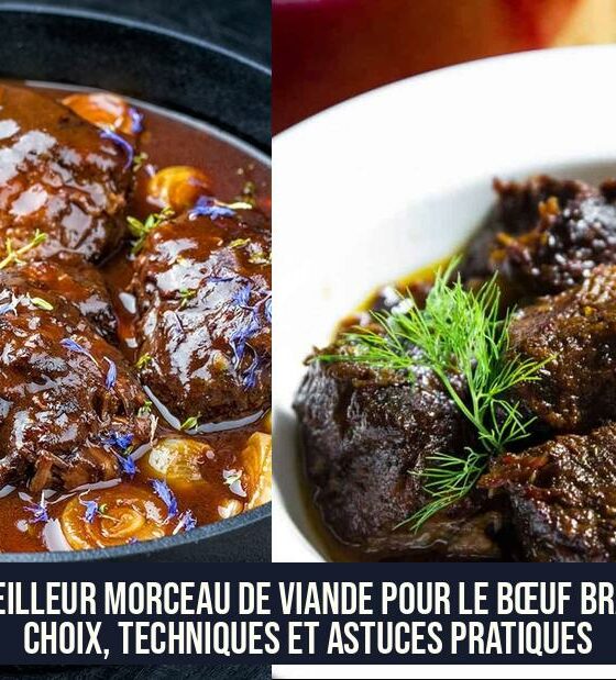 Le meilleur morceau de viande pour le bœuf braisé : choix, techniques et astuces pratiques