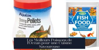 Les Meilleurs Poissons de l'Océan pour une Cuisine Savoureuse