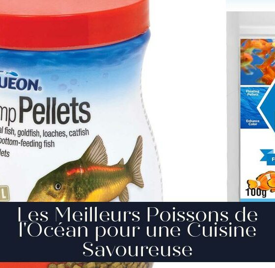Les Meilleurs Poissons de l'Océan pour une Cuisine Savoureuse