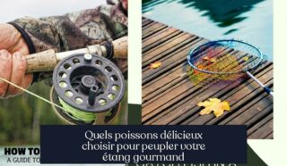 Quels poissons délicieux choisir pour peupler votre étang gourmand