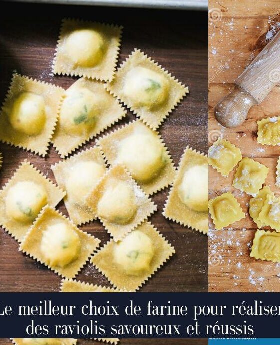 Le meilleur choix de farine pour réaliser des raviolis savoureux et réussis