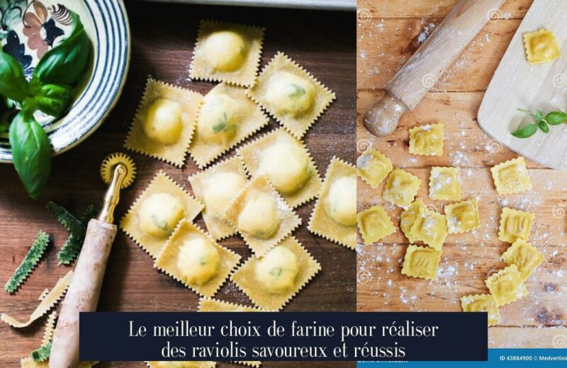 Le meilleur choix de farine pour réaliser des raviolis savoureux et réussis
