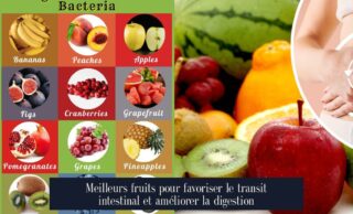Meilleurs fruits pour favoriser le transit intestinal et améliorer la digestion