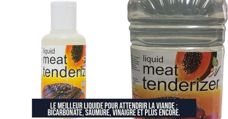 Le meilleur liquide pour attendrir la viande : bicarbonate, saumure, vinaigre et plus encore.