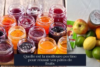 Quelle est la meilleure pectine pour réussir vos pâtes de fruits