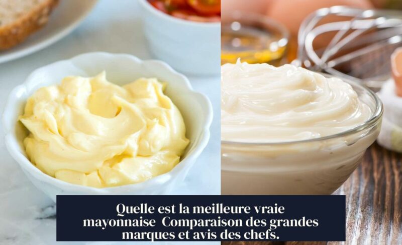 Quelle est la meilleure vraie mayonnaise Comparaison des grandes marques et avis des chefs.